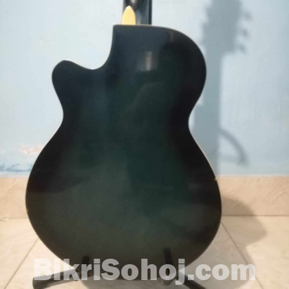 SX Acoustic Guitar (MJG25C)